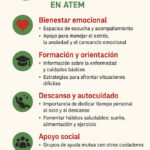 Estrategias para mejorar la calidad de vida emocional del cuidador